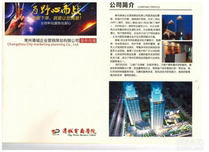 高端品牌策劃與VI設(shè)計(jì) 塑造企業(yè)形象的視覺(jué)之道