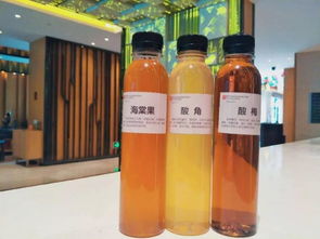 臻于至善，賓至如歸——實力集團臻鑫玖以心服務，鑄就卓越